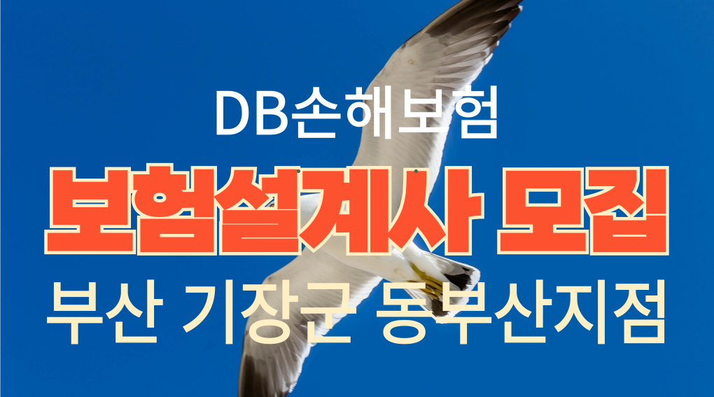 부산 기장군 동부산지점 DB손해보험 보험설계사, 새로운 커리어를 시작할 기회