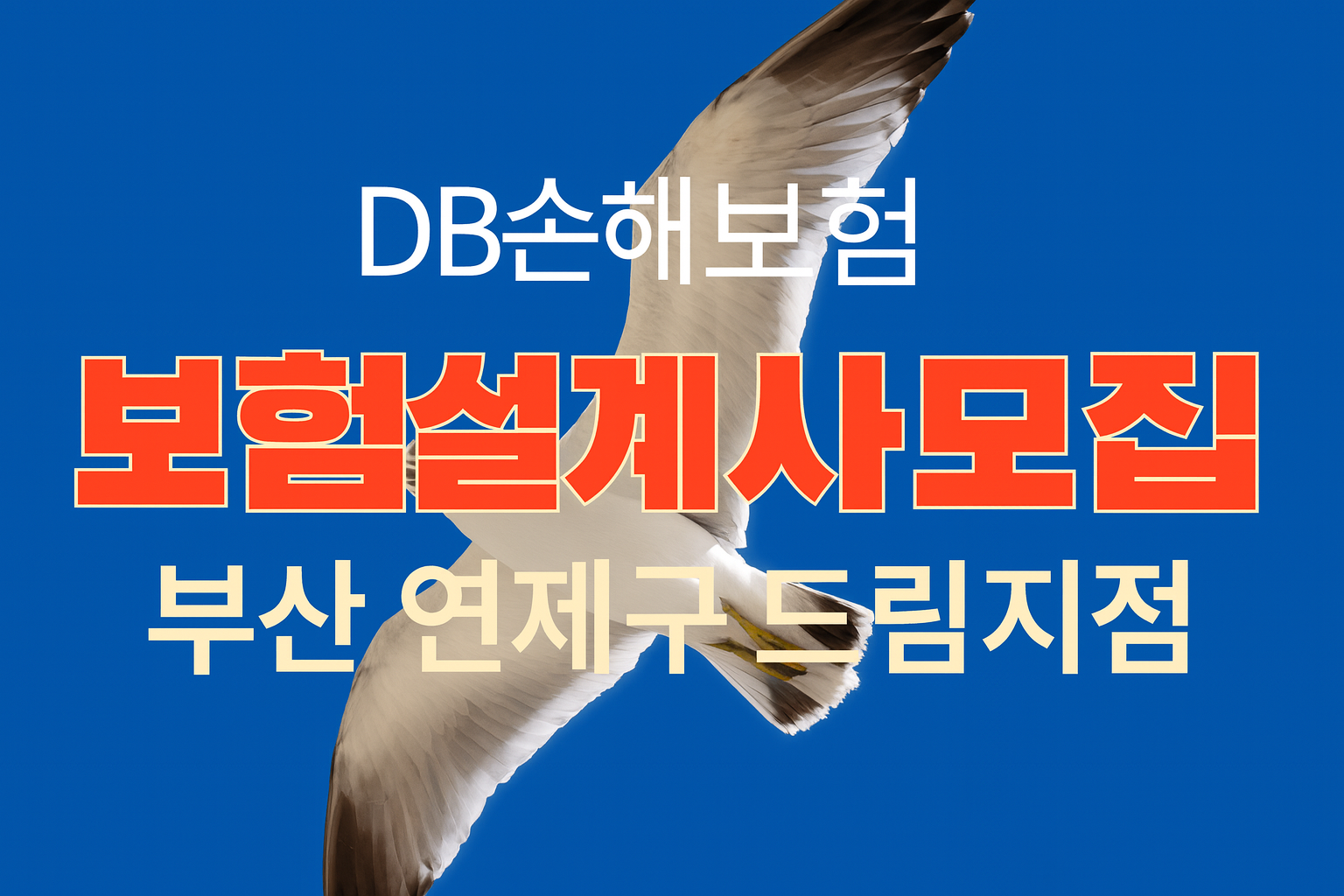 부산 연제구 드림지점 DB손해보험 보험설계사 모집 – 새로운 커리어 기회